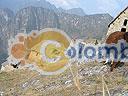 Machu-Picchu-021